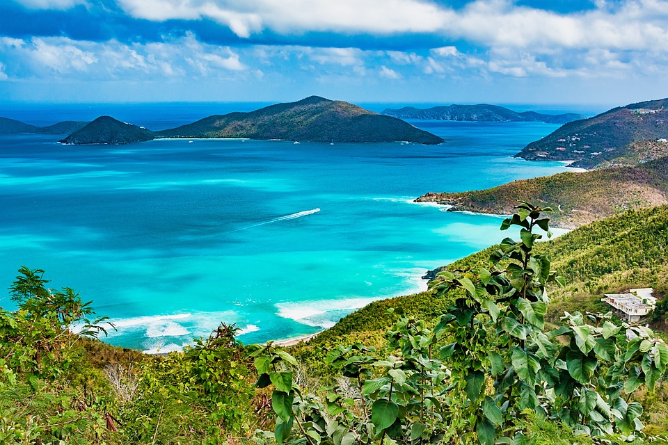 tortola-4604368_960_720.jpg