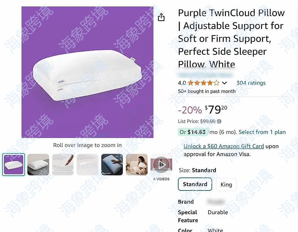 watermarked_image_20240823100254_8vhywU.png